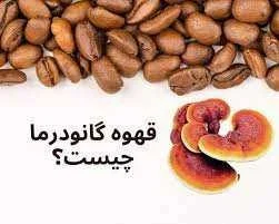 تاثیر قارچ گانودرما بر دیابت