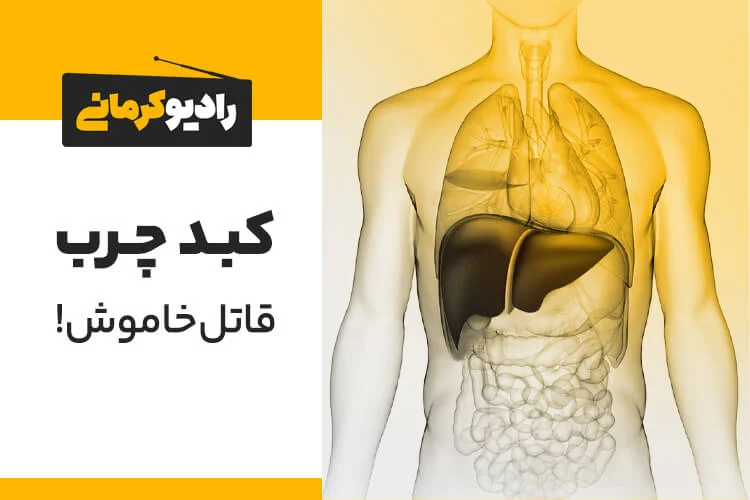کبد چرب آیا کبد چرب باعث مرگ می شود؟