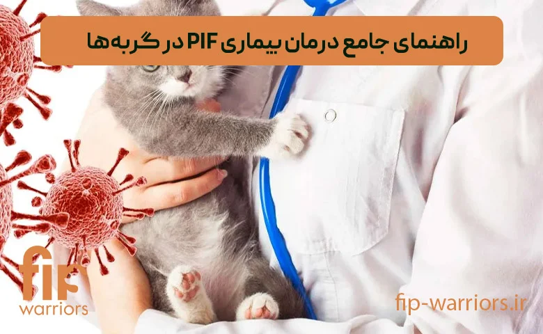 روش‌های پیشگیری و درمان FIP در گربه‌ها: بررسی داروهای در دسترس در ایران