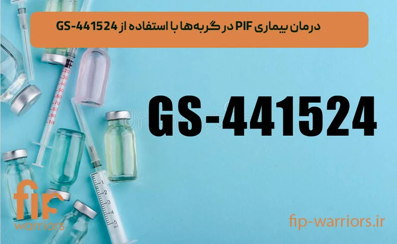 روش‌های پیشگیری و درمان FIP در گربه‌ها: بررسی داروهای در دسترس در ایران