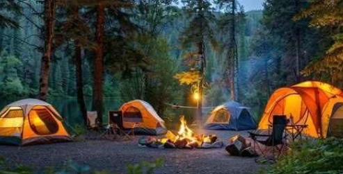 جنگل | گل راهنمای جامع اصول کمپ در کنار رودخانه، جنگل و کوهستان